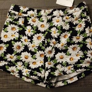 American apparel daisy shorts